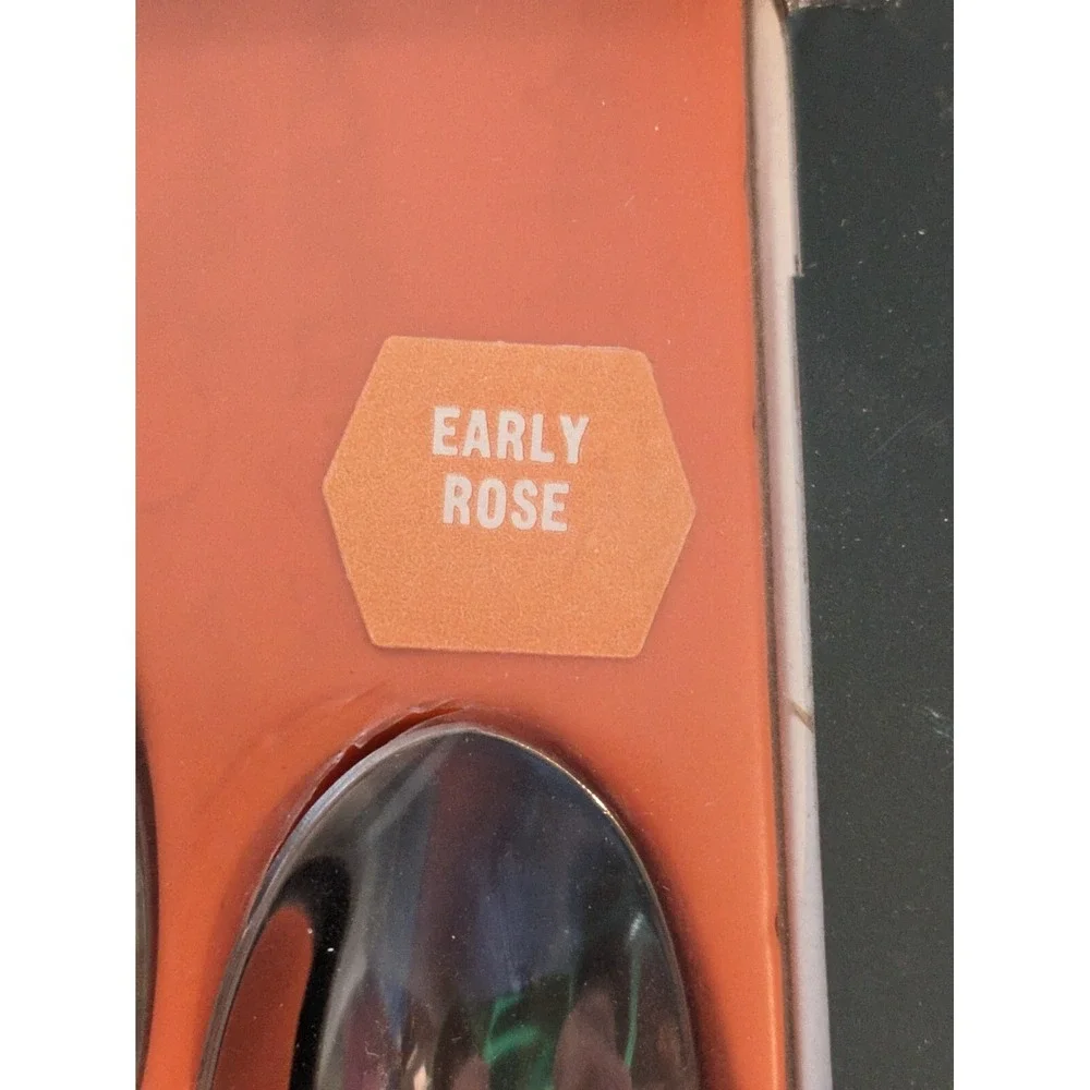Service for 6 Imperial Early Rose Stainless Steel USA Box 24 Pieces Box NEW